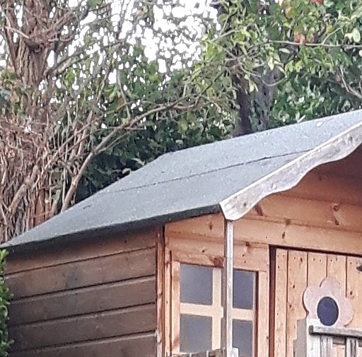 Shed repairs in the Loughton, Debden CHigwell and surrounding areas, by Loughton Handyman