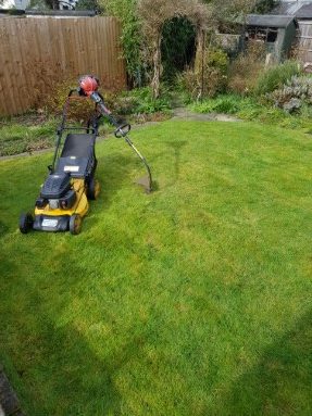 Grass cutting in the Loughton, Debden CHigwell and surrounding areas, by Loughton Handyman